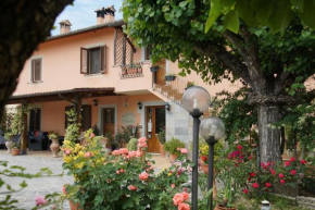 Agriturismo L'Ulivo in Fiore